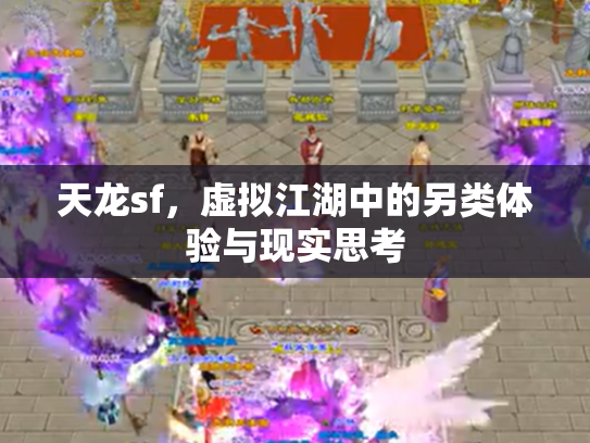 天龙sf，虚拟江湖中的另类体验与现实思考