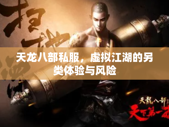 天龙八部私服，虚拟江湖的另类体验与风险
