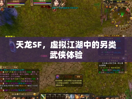 天龙SF，虚拟江湖中的另类武侠体验