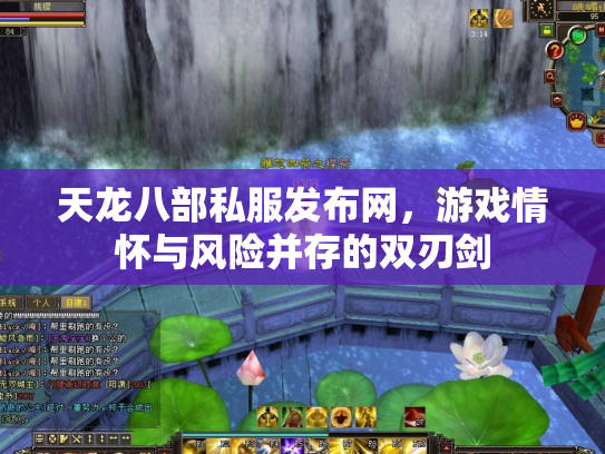 天龙八部私服发布网，游戏情怀与风险并存的双刃剑