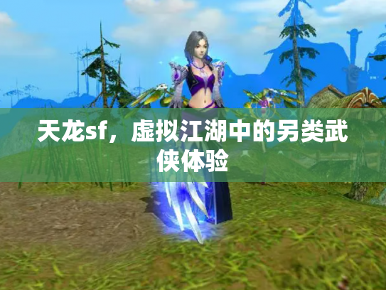 天龙sf，虚拟江湖中的另类武侠体验