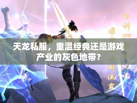 天龙私服，重温经典还是游戏产业的灰色地带？