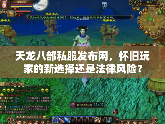 天龙八部私服发布网，怀旧玩家的新选择还是法律风险？
