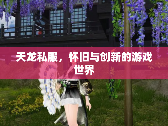 天龙私服，怀旧与创新的游戏世界