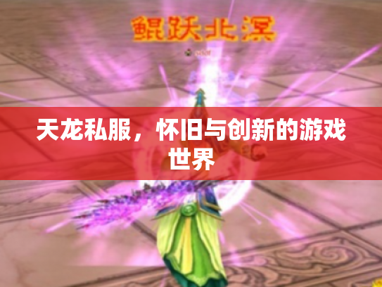 天龙私服，怀旧与创新的游戏世界