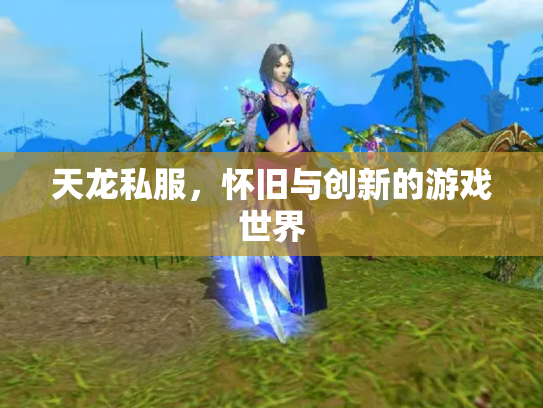 天龙私服，怀旧与创新的游戏世界