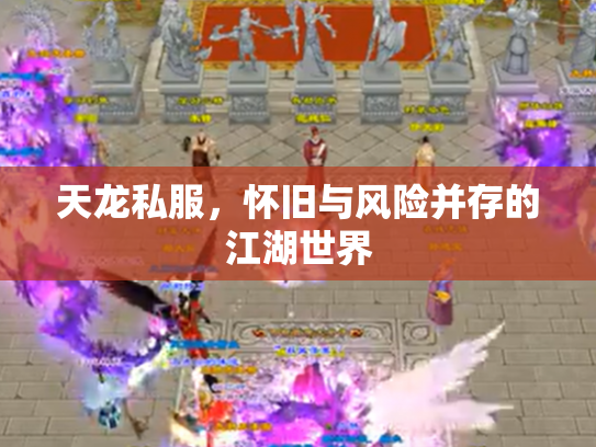 天龙私服，怀旧与风险并存的江湖世界
