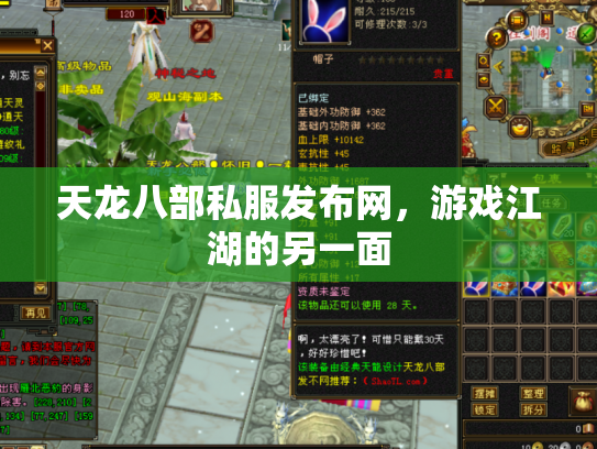 天龙八部私服发布网，游戏江湖的另一面