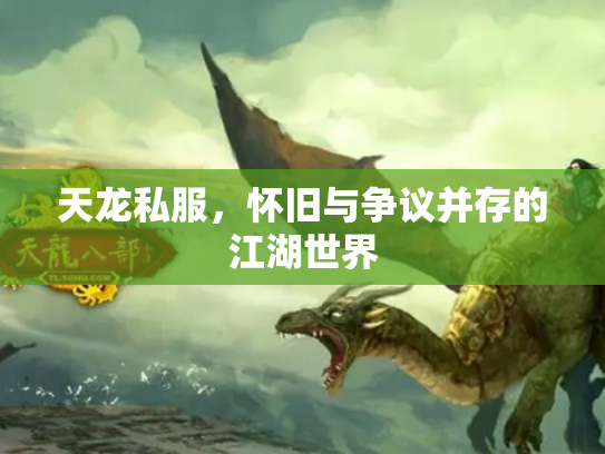 天龙私服，怀旧与争议并存的江湖世界