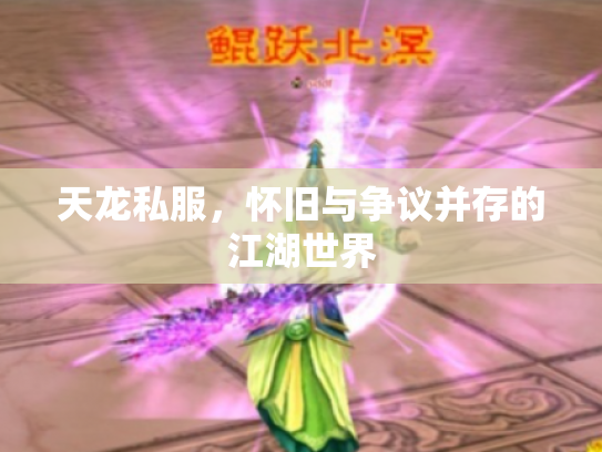 天龙私服，怀旧与争议并存的江湖世界