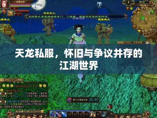 天龙私服，怀旧与争议并存的江湖世界