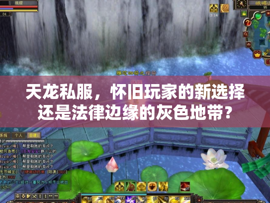天龙私服，怀旧玩家的新选择还是法律边缘的灰色地带？