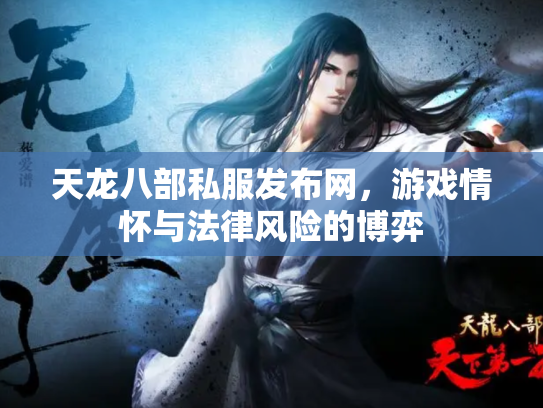 天龙八部私服发布网，游戏情怀与法律风险的博弈