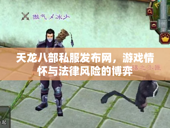 天龙八部私服发布网，游戏情怀与法律风险的博弈
