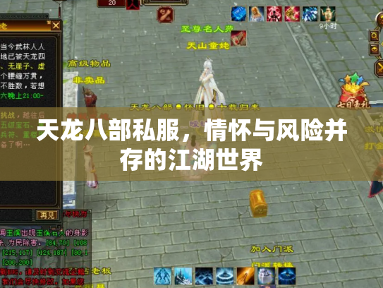 天龙八部私服，情怀与风险并存的江湖世界