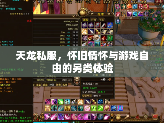 天龙私服，怀旧情怀与游戏自由的另类体验