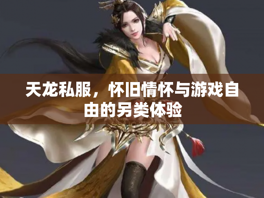 天龙私服，怀旧情怀与游戏自由的另类体验
