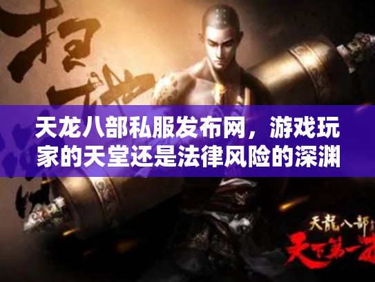 天龙八部私服发布网，游戏玩家的天堂还是法律风险的深渊？
