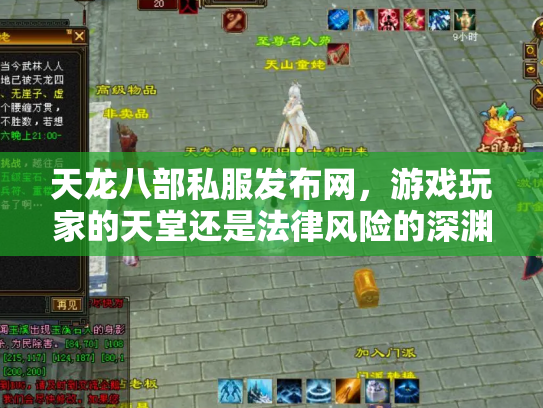 天龙八部私服发布网，游戏玩家的天堂还是法律风险的深渊？