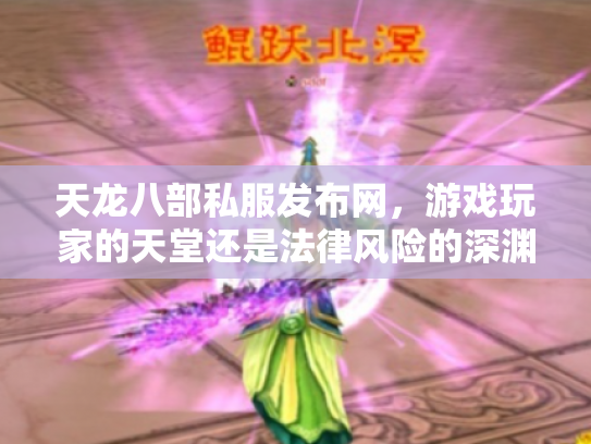天龙八部私服发布网，游戏玩家的天堂还是法律风险的深渊？