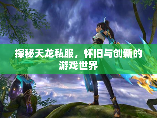 探秘天龙私服，怀旧与创新的游戏世界