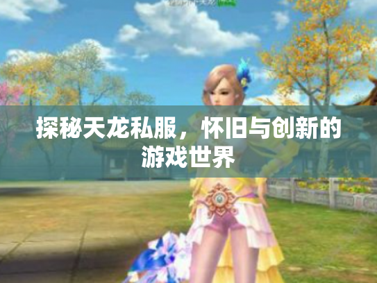 探秘天龙私服，怀旧与创新的游戏世界