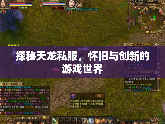 探秘天龙私服，怀旧与创新的游戏世界