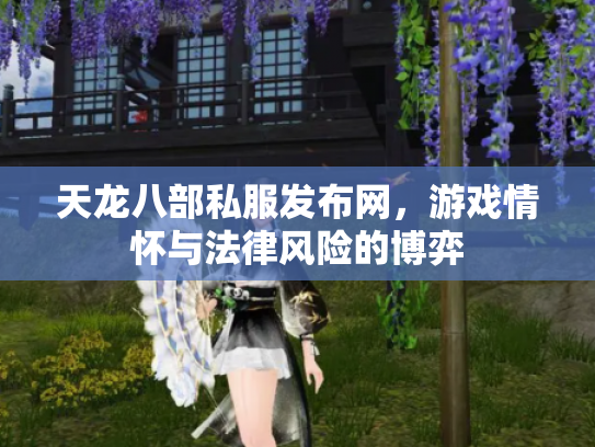 天龙八部私服发布网，游戏情怀与法律风险的博弈