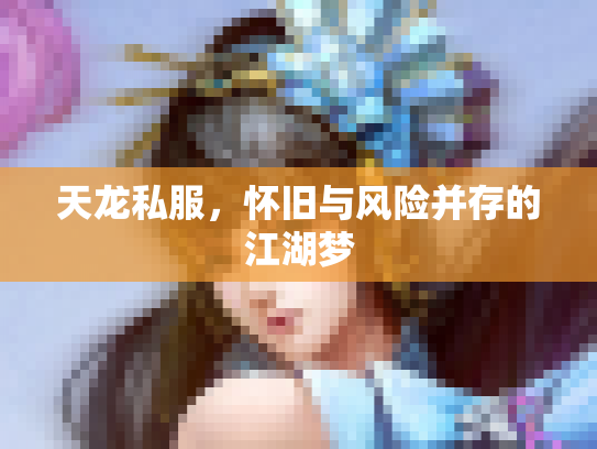 天龙私服，怀旧与风险并存的江湖梦
