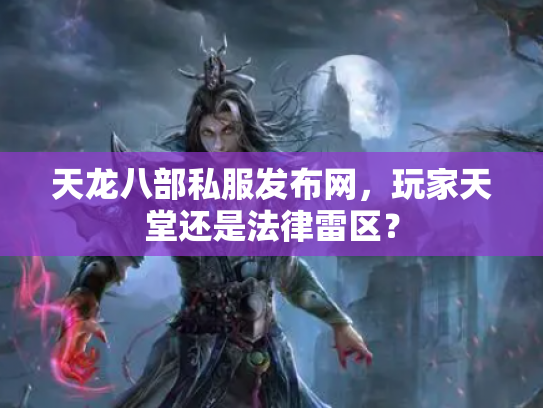 天龙八部私服发布网，玩家天堂还是法律雷区？