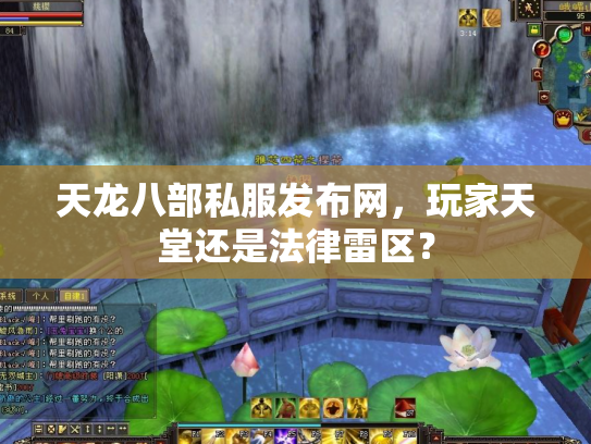 天龙八部私服发布网，玩家天堂还是法律雷区？