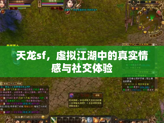 天龙sf，虚拟江湖中的真实情感与社交体验