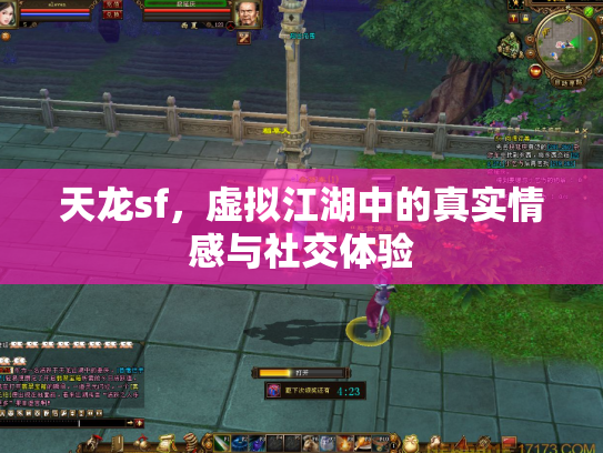 天龙sf，虚拟江湖中的真实情感与社交体验