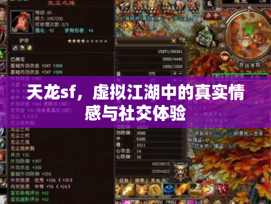 天龙sf，虚拟江湖中的真实情感与社交体验