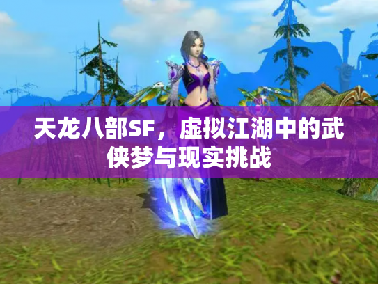 天龙八部SF，虚拟江湖中的武侠梦与现实挑战