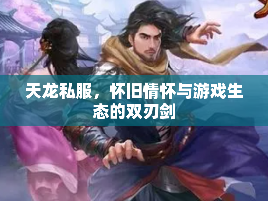 天龙私服，怀旧情怀与游戏生态的双刃剑