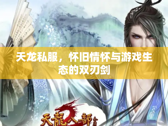 天龙私服，怀旧情怀与游戏生态的双刃剑