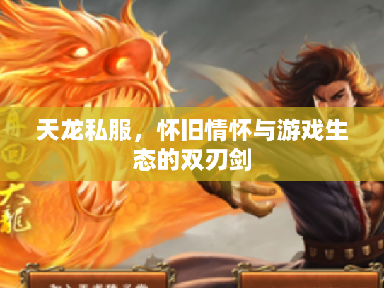 天龙私服，怀旧情怀与游戏生态的双刃剑