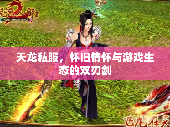 天龙私服，怀旧情怀与游戏生态的双刃剑