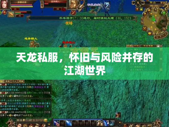 天龙私服，怀旧与风险并存的江湖世界