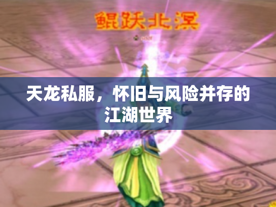 天龙私服，怀旧与风险并存的江湖世界