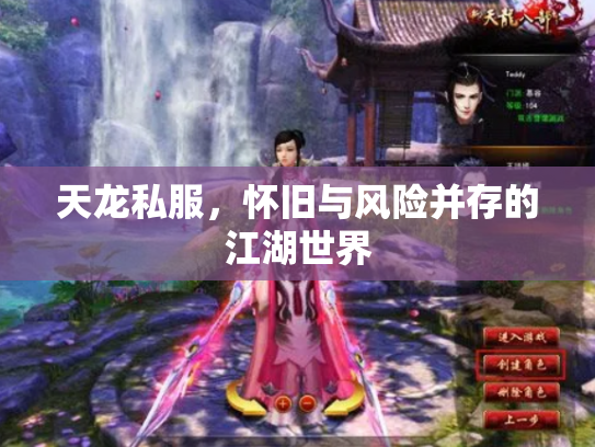 天龙私服，怀旧与风险并存的江湖世界