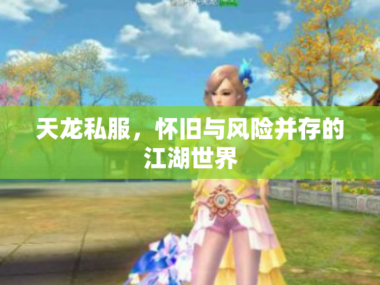 天龙私服，怀旧与风险并存的江湖世界