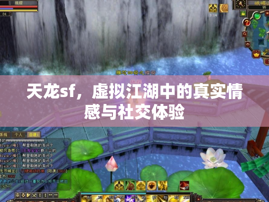 天龙sf，虚拟江湖中的真实情感与社交体验