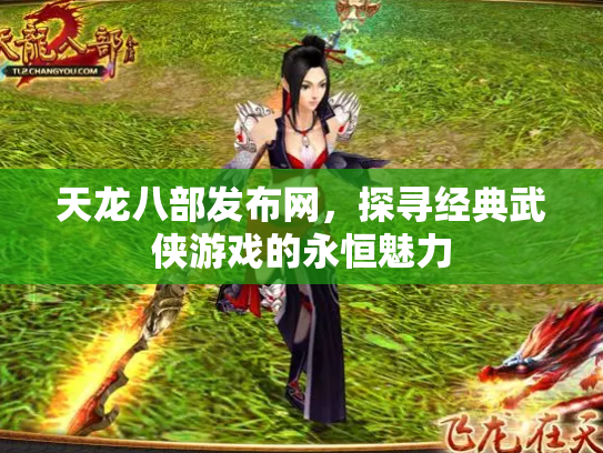 天龙八部发布网，探寻经典武侠游戏的永恒魅力