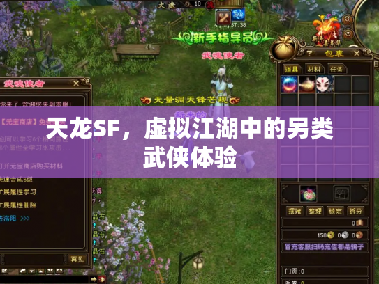 天龙SF，虚拟江湖中的另类武侠体验