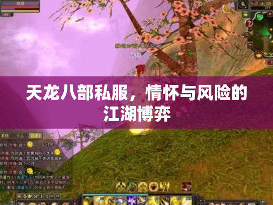 天龙八部私服，情怀与风险的江湖博弈