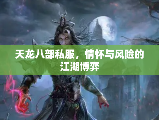 天龙八部私服，情怀与风险的江湖博弈
