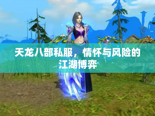 天龙八部私服，情怀与风险的江湖博弈