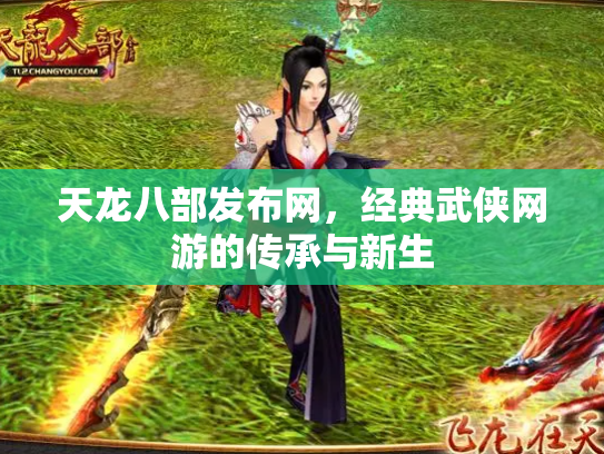 天龙八部发布网，经典武侠网游的传承与新生